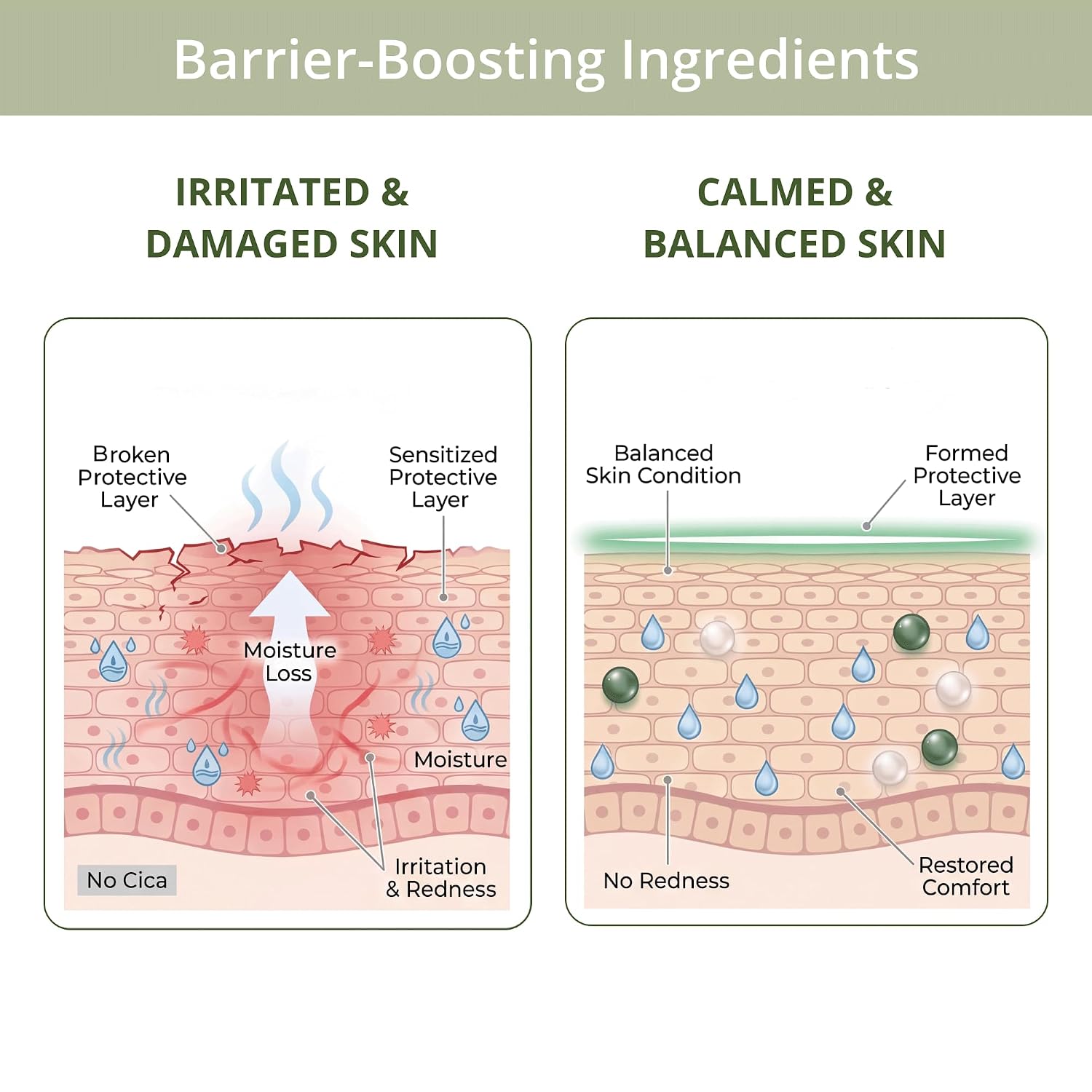 Cica Ceramide Barrier Cream benefits